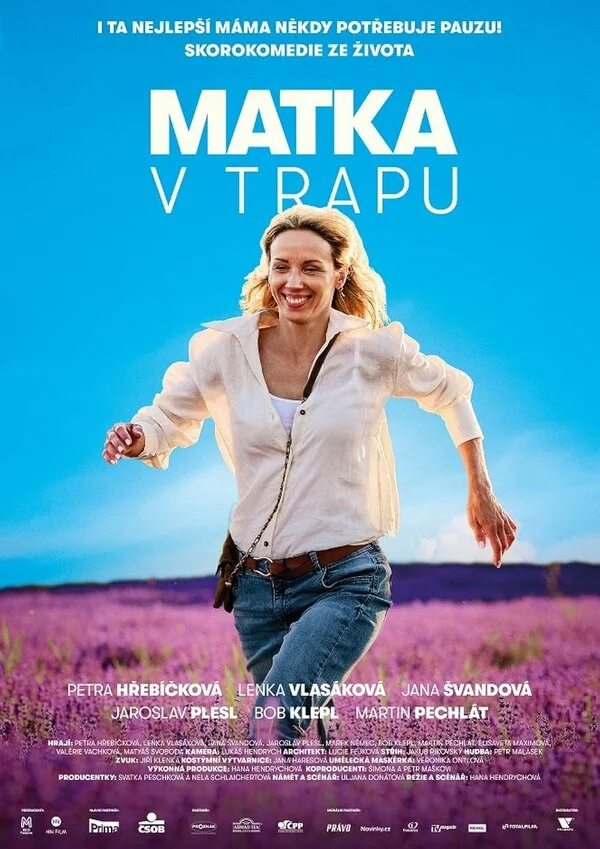 Мать в ловушке постер